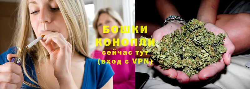 Бошки марихуана White Widow  Белинский 